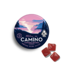 Kiva - Gummies - Camino - Wild Berry 100mg
